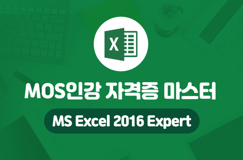 MOS인강 자격증 마스터 -MS Excel 2016 Expert-