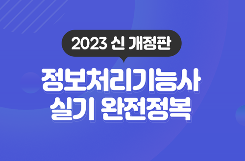 정보처리기능사 실기 완벽정복 (2023 신개정판)