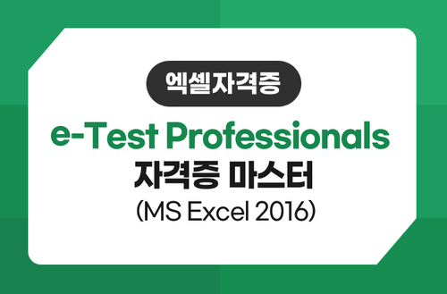 엑셀자격증 e-Test Professionals 자격증 마스터 (MS Excel 2016)