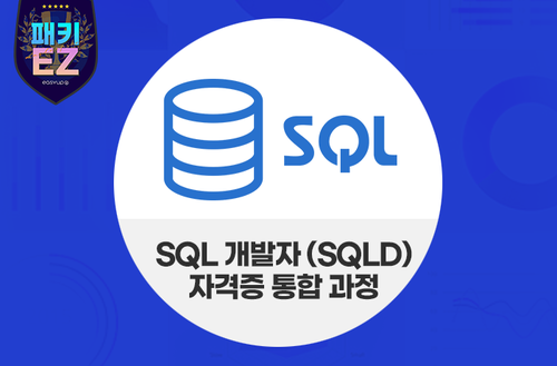 [패키EZ] SQL 개발자 (SQLD) 자격증 통합 과정