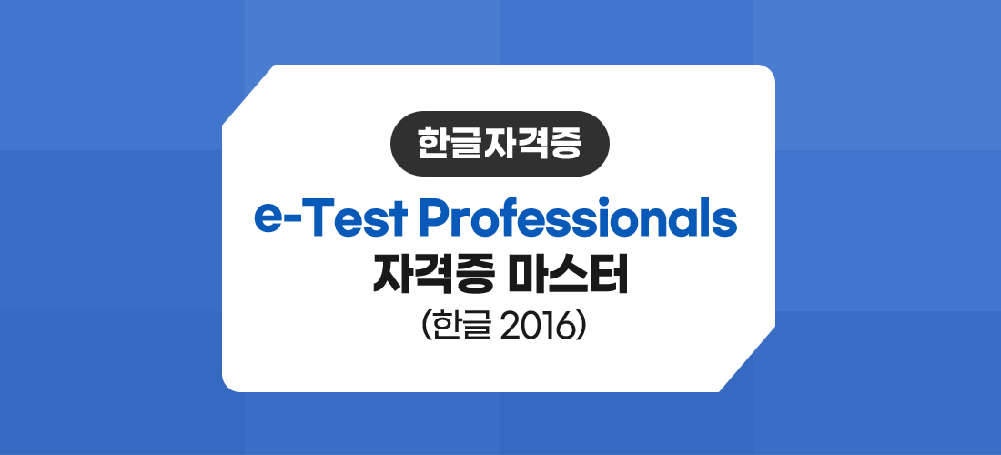 한글자격증 e-Test Professionals자격증마스터