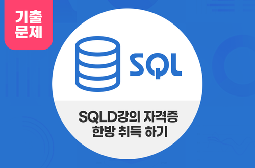 SQL 개발자 (SQLD) 자격증 따기 (기출문제 분석편)
